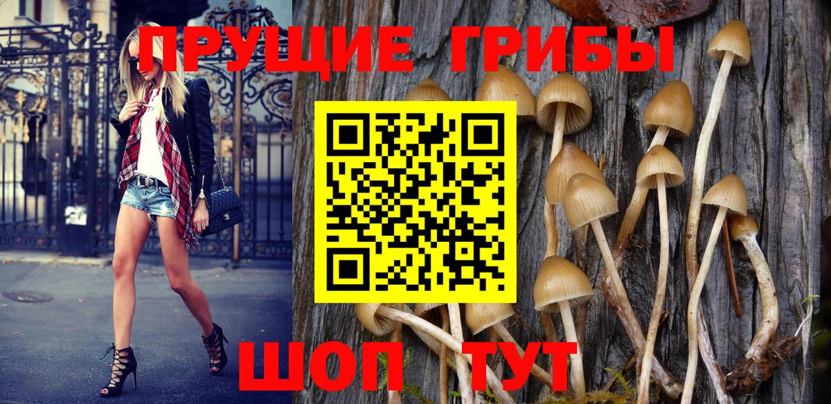 Псилоцибиновые грибы Magic Shrooms Ярославль